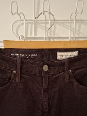 Agolde (Anthropologie) Chocolate Brown Velvet High-rise Stevie Jeans (Size 27)
